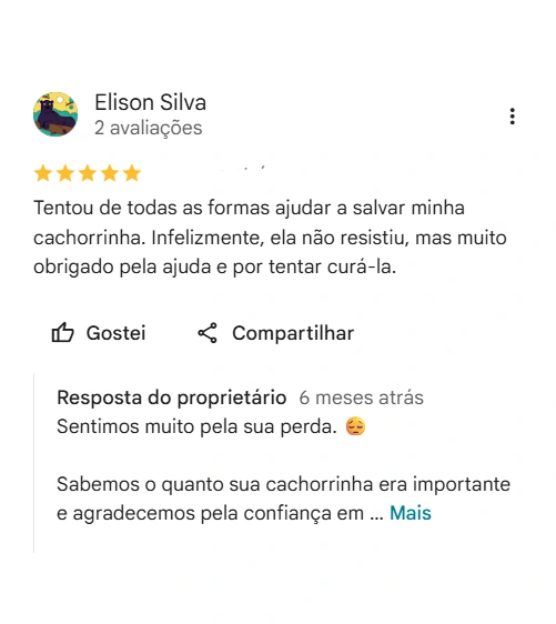 Avaliação real de tutor sobre a Pelos e Patas
