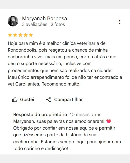 Avaliação real de tutor no Google