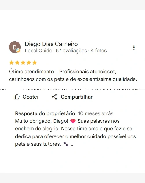 Avaliação real de tutor no Google