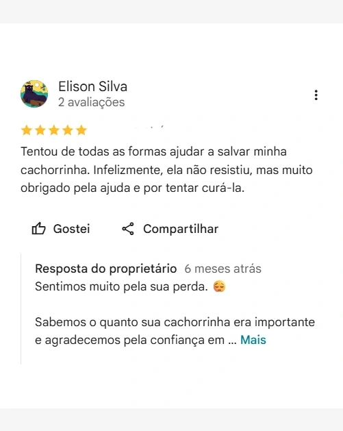 Avaliação real de tutor no Google